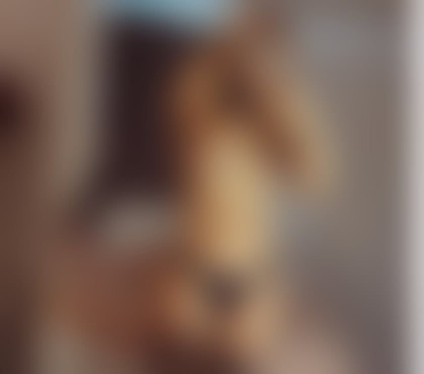 Escorts Somerset Bridgwater - Somerset - Photos for Thays🍷100% REAL🔥Luxury girl🍷